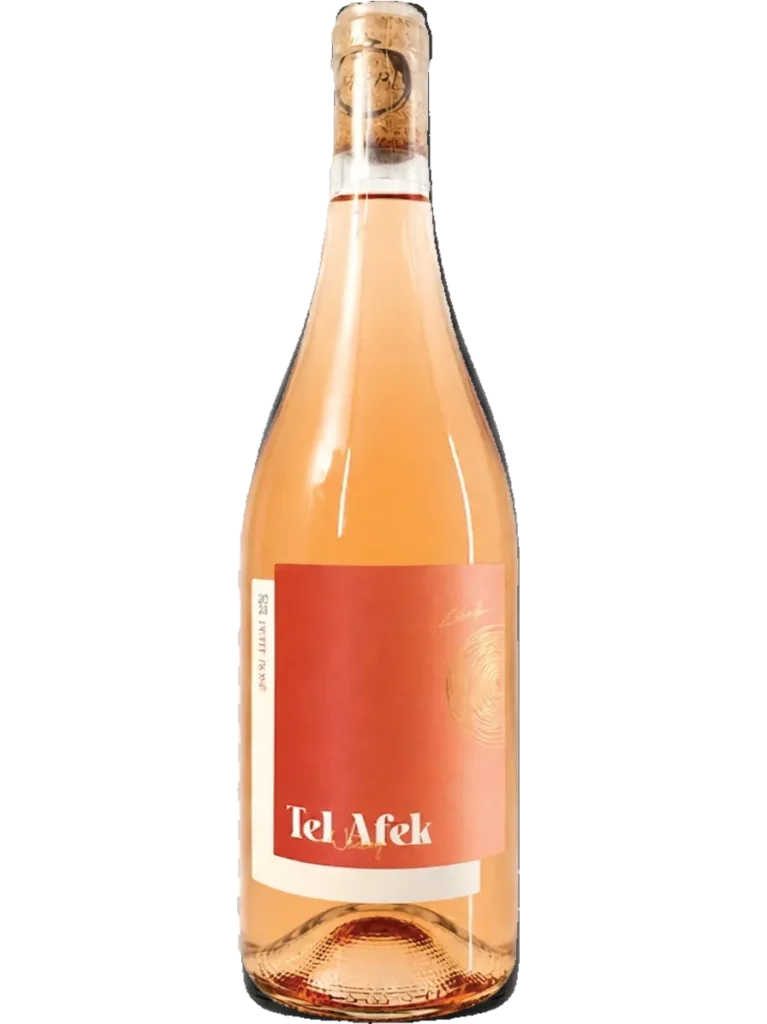 Petit-Rose-2024