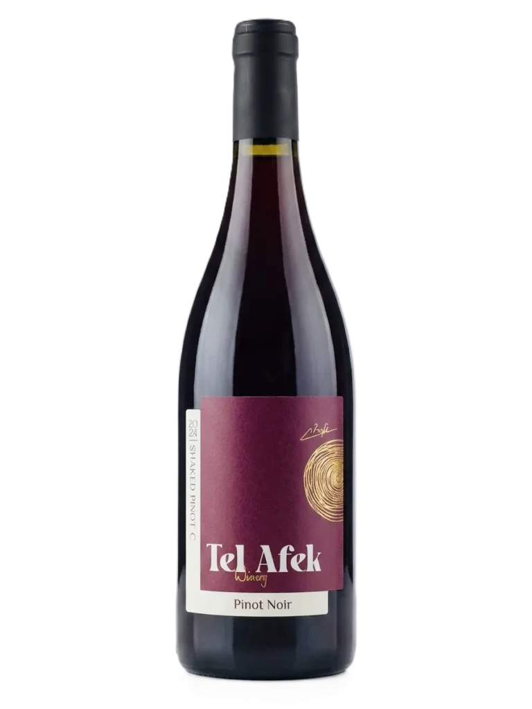 Shaked-Pinot-C-2024
